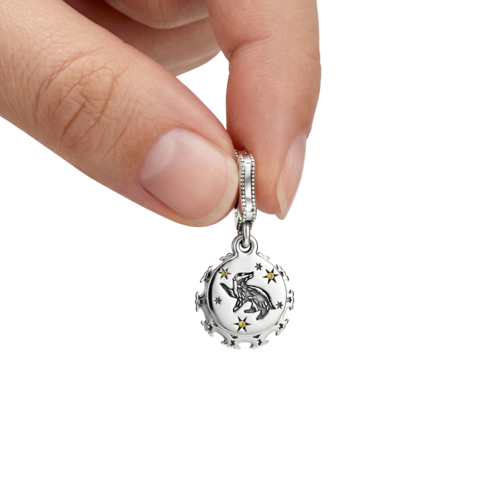 Harry Potter Hufflepuff Dangle Charm featuring a badger design and star details, perfect for charm bracelets.
