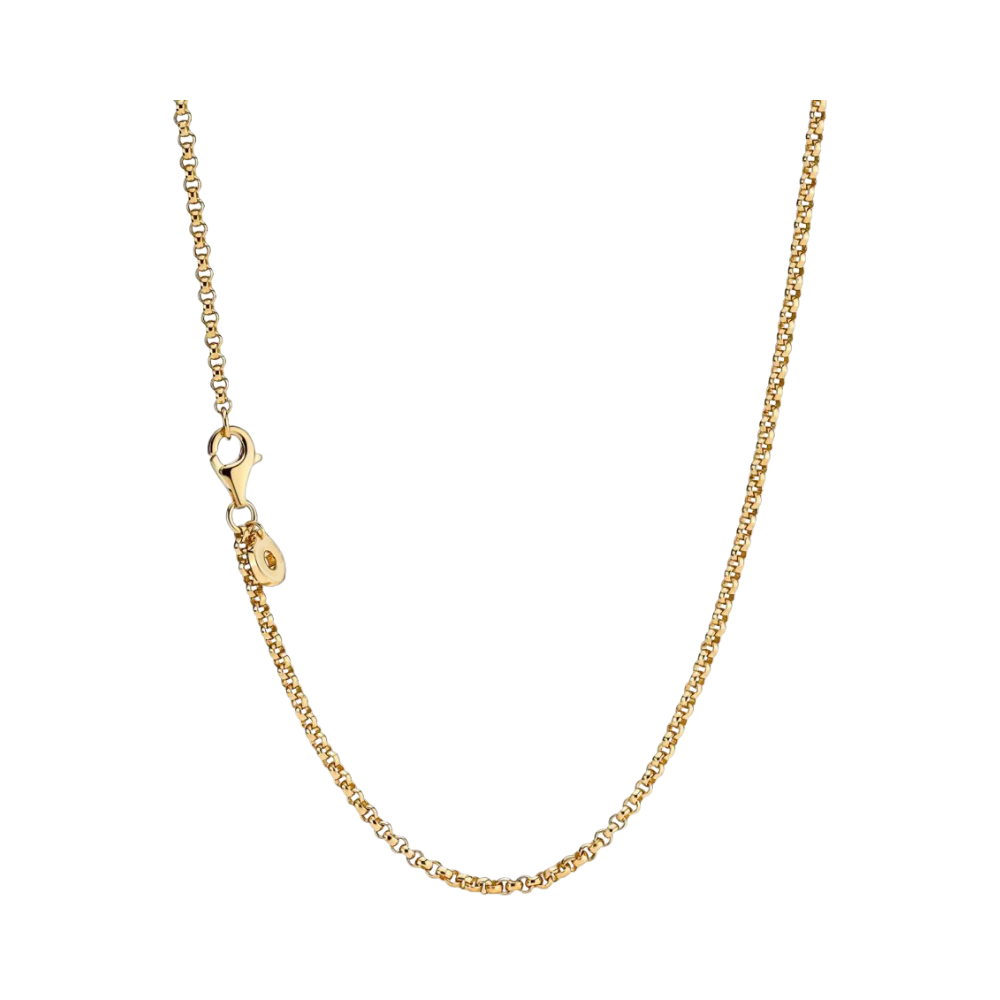Delicate Gold Everyday Chain Necklace featuring a fine chain with a lobster clasp in warm gold finish.