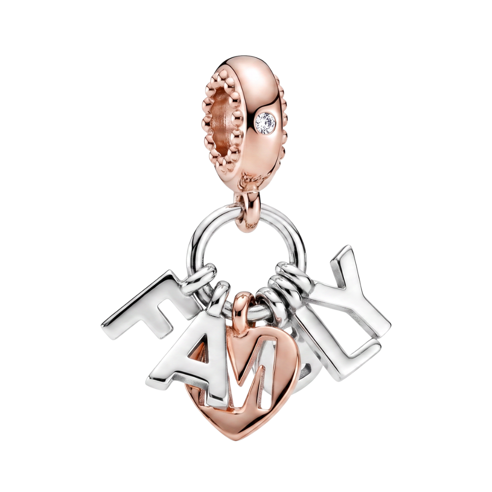 Rose Gold Family Letters Heart Dangle Charm with silver letters spelling FAMILY and a rose gold heart detail.